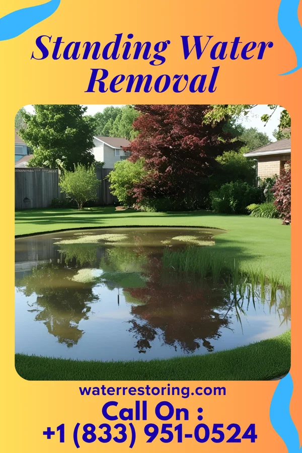 Standing Water Removal in Guilford Center, CT